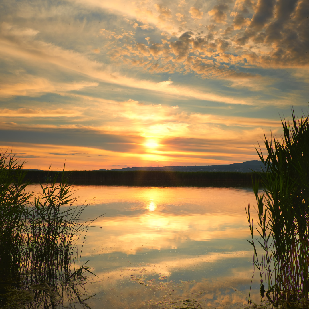 Gratitude and reflection