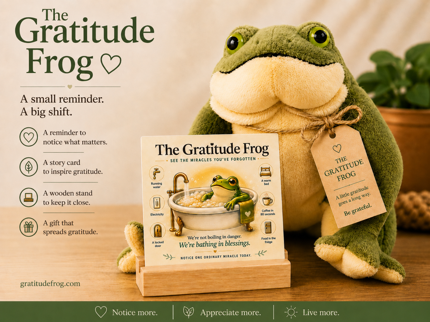 The Gratitude Frog Founding Edition with its gratitude story card and wooden stand